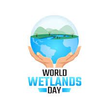 vector graphic of world wetlands day good for world wetlands day celebration. flat design. flyer design.flat illustration. 5093643 Vector Art at Vecteezy World Wetlands Day, Creative Posters, Flat Illustration, Flat Design, Flyer Design, Vector Art, Digital Marketing, Vector Free, Stock Photos