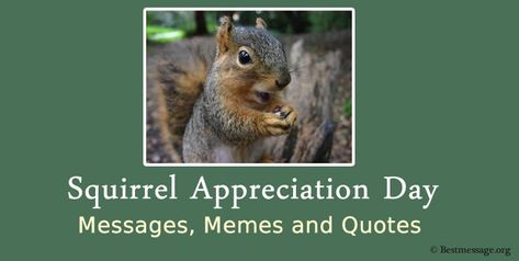 Squirrel Appreciation Day, Appreciation Quotes, Wishes Messages, Family And Friends, Memes, Quotes