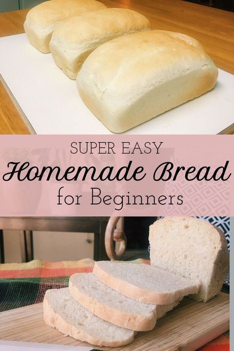 Homemade Bread For Beginners, Bread For Beginners, Easy White Bread Recipe, Beginners Bread Recipe, Easy Homemade Bread, White Bread Recipe, Homemade Bread Recipes Easy, Homemade Bread Easy, Snickerdoodle Cookies