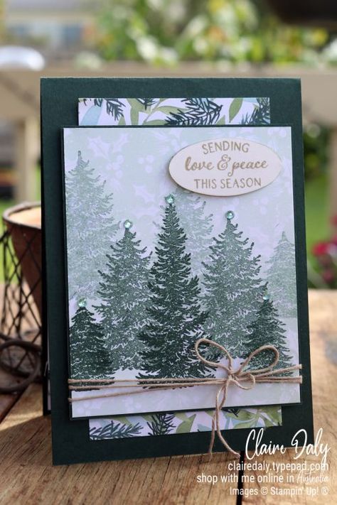 Stampin Up Evergreen Elegance Cards, Winter Stampin Up Cards, Stampin Up Kids Christmas Cards, Christmas Card Stampin Up Ideas, Evergreen Elegance Stampin Up Cards, Stampin Up 2022 Christmas Cards, Stampin Up Christmas 2022, Painted Christmas Stampin Up Cards, Hand Stamped Christmas Cards