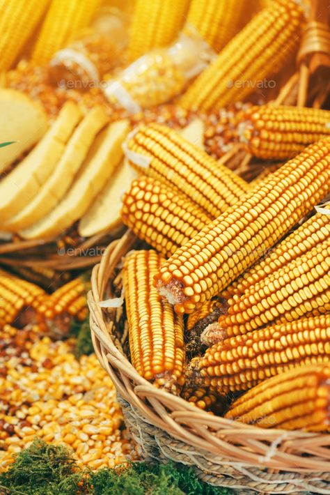 Popcorn Seeds, Field Corn, Harvest Corn, Corn Maize, Crop Field, From Farm To Table, Stale Bread, Corn On The Cob, Cooking Ingredients