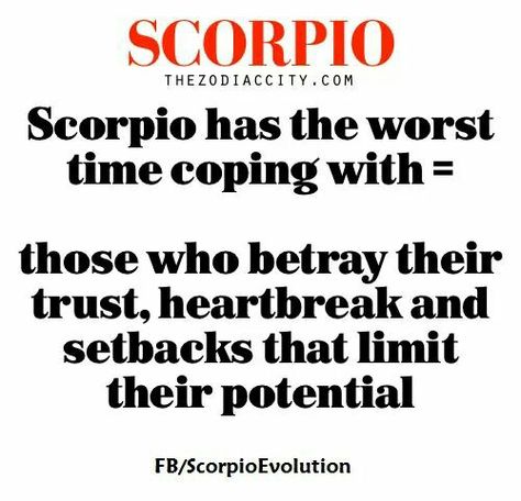 Scorpio Scorpio Sun Sign, All About Scorpio, Astrology Scorpio, Scorpio Traits, Scorpio Love, Scorpio Zodiac Facts, Scorpio Quotes, Zodiac Signs Scorpio, Scorpio Season