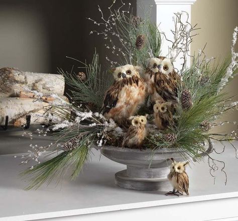 2012 Christmas Centerpiece and Window Decoration Ideas from RAZ: Use for a winter display after Christmas Christmas Owl Wreath, Owl Centerpieces, Shabby Chic Christmas Decorations, Chic Christmas Decor, Christmas Tablescape, Shabby Chic Christmas, Christmas Owls, Woodland Christmas, Christmas Arrangements