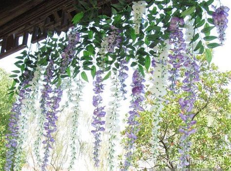 Wedding Plants Decor, Wedding Wisteria, Fake Flowers Decor, Fake Ivy, Wisteria Vine, Flower Room Decor, Flower Ceiling, Wedding Plants, Purple Wisteria