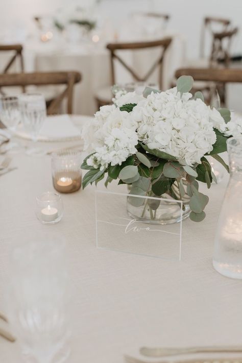 White Hydrangea Wedding Table, Modern Neutral Wedding Tablescape, Simple Hydrangea Centerpiece Wedding, Round Table Reception Centerpieces, Hydrangea Wedding Centerpieces Simple, Simple Neutral Wedding Centerpieces, Round Table Simple Centerpieces, Low Hydrangea Centerpiece, White Flower Wedding Table Decor