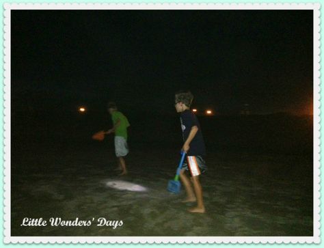 Ghost crab hunting at the beach Ghost Crab, Night On The Beach, Mission Beach, Vacay Mode, School Party, School Parties, On Beach, Family Favorites, Outer Banks