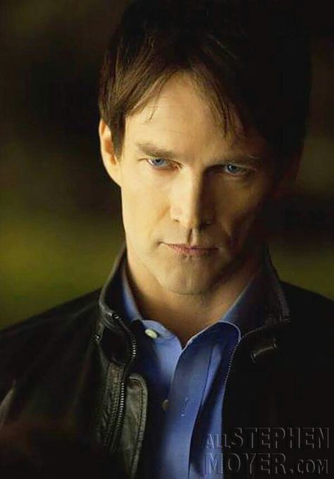 Bill True Blood, Stephen Moyer, True Blood Series, Blood Art, Baby Groot, True Blood, Movie Tv, Tv Shows, It Cast