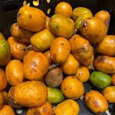 June Plums Information and Facts June Plum, Opo Squash, Japanese Ginger, Choy Sum, Apricot Recipes, Turmeric Recipes, Kabocha Squash, Artichoke Recipes, Ginger Recipes