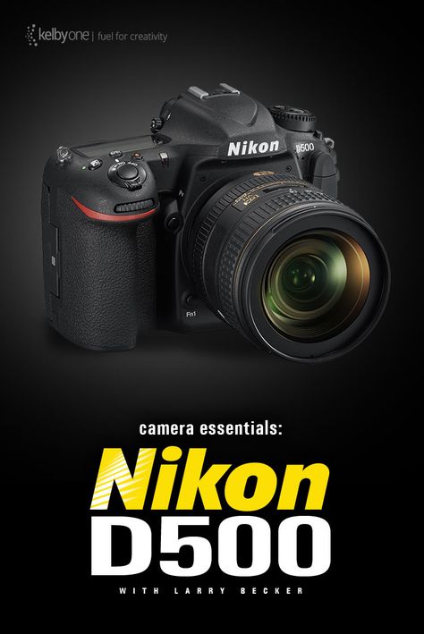 Nikon photographers—we just released our course, Camera Essentials: Nikon D500. Give the videos a watch and see how this new camera works! http://kel.by/nikon-d500-overview Photography Gadgets, Wildlife Photography Tips, Online Photography Course, Nikon Cameras, Nikon Digital Camera, Nikon D500, Camera Man, Photo Lens, Digital Camera Photography