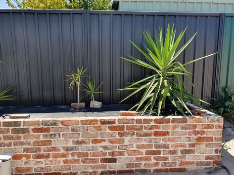 Recycled Brick Garden Bed, Red Brick Garden Bed, Recycled Brick Retaining Wall, Brick Planters Front Of House, Red Brick Retaining Wall, Brick Tiles Wall, Brick Retaining Wall, Retaining Wall Bricks, Brick Tile Wall