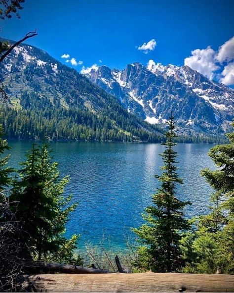 Jenny Lake Wyoming, Jenny Lake, Jackson Hole Wyoming, Escape Reality, Dream Travel Destinations, Jackson Hole, Beautiful Nature Pictures, Beautiful Places To Travel, Beautiful Places To Visit