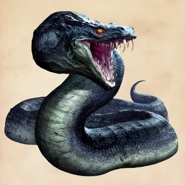 Basilisk | Harry Potter Wiki | Fandom Basilisk Harry Potter, Fantastic Beasts Creatures, Harry Potter Creatures, Harry Potter Wiki, Beast Creature, Mythical Beasts, Fantasy Beasts, Mythical Beast, Hogwarts Mystery