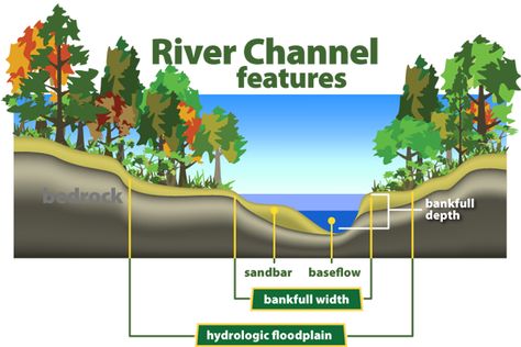 River Channel Features Branches Of Biology, Water Architecture, Arcology, Secondary Science, Teaching Biology, Before We Go, Nature Park, River Bank, Water Management