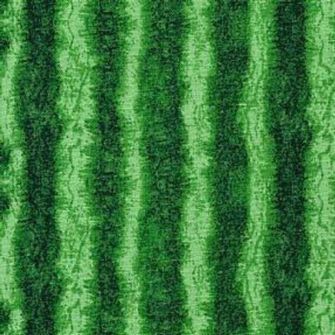 2 yards Watermelon rind green skin Cotton Fabric by Timeless Treasures C1173 Fruit Nails, Watermelon Decor, Show Da Luna, Green Watermelon, Watermelon Rind, Timeless Treasures Fabric, Green Skin, Watermelon Seeds, Vintage Campers