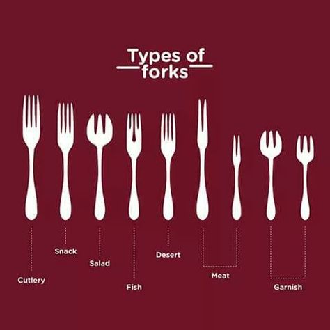 Types Of Forks, Dinning Etiquette, Table Manner, Table Setting Etiquette, Culinary Basics, Kitchen Essentials List, Table Etiquette, Food Vocabulary, Dining Etiquette