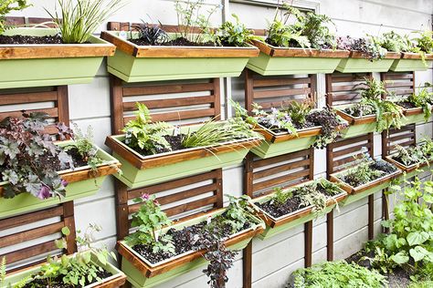 Starting My DIY Vertical Garden Verticle Garden Wall, Ikea Applaro, Diy Vertical Garden, Wall Gardens, Allotment Ideas, Vertical Garden Ideas, Kleiner Pool Design, Fenced Vegetable Garden, Vertical Vegetable Gardens