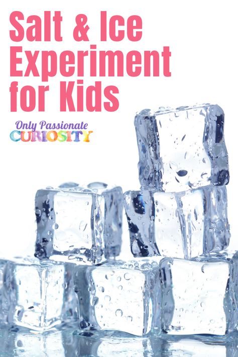 Ice Experiments, Winter Science Experiments, Winter Science, Experiments Kids, Mom Encouragement, Kid Experiments, Curriculum Development, Winter Project, Science Curriculum