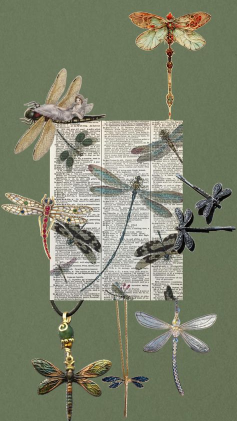 #dragonfly Collage