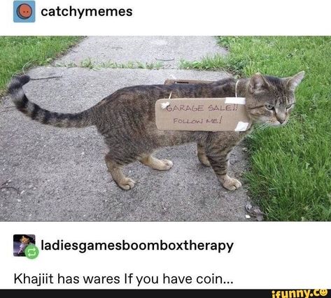 . catchymemes ªIadiesgamesboomboxtherapy Khajiít has wares If you have coin . – popular memes on the site iFunny.co #elderscrolls #gaming #cat #khajiit #skyrim #catchymemes #iadiesgamesboomboxtherapy #khajit #has #wares #if #coin #pic Elder Scrolls Memes, Skyrim Funny, Funny Animal Memes, Gaming Memes, Komik Internet Fenomenleri, Elder Scrolls, Funny Animal Pictures, Skyrim, Animal Memes