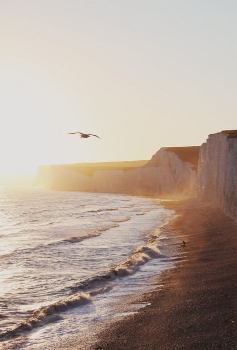 The sea - Birling Gap east Sussex East Sussex, Oh The Places Youll Go, Dream Destinations, Beautiful Photography, Ocean View, Beach Life, Beautiful World, The Great Outdoors, The Ocean