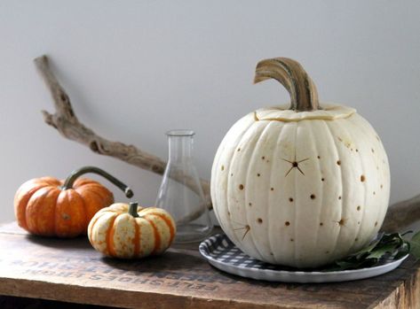 starry sky pumpkin | gardenista Halloween Ambience, Star Pumpkin, Pumpkins Painting, Erin Boyle, Easy Pumpkin Carving, Pumpkin Carving Designs, Pumpkin Carving Ideas, Halloween Photography, Astuces Diy