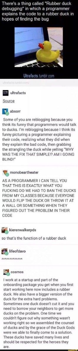 Rubber Duck Debugging, Duck Meme, Programing Jokes, Amazing Gadgets, Odd Things, Funny Duck, Crazy Facts, Dc Memes, Meme Funny