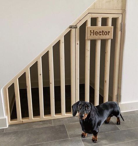 Dog Cage Under Stairs, Understairs Dog House, Under Stairs Dog Bed, Dog Den Under Stairs, Under Stair Doghouse, Understairs Dog Area, Dog Under Stairs Spaces, Dog Crate Under Stairs, Under Stairs Dog Kennel