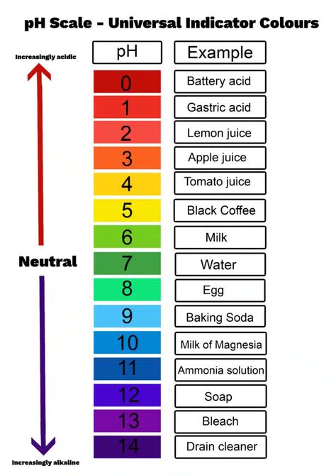 What is the pH Scale? Ph Chart, Ph Scale, Hygiene School, Fish Printables, Dental Hygiene School, Christmas Decorations For Kids, Photos For Profile Picture, Ph Levels, Drain Cleaner