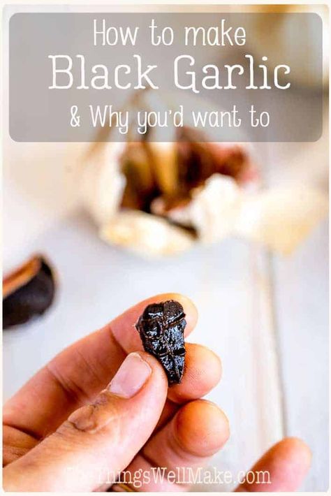 Smooth and sweet, black garlic is the result of properly aging regular garlic over constant heat. Through the process, it is no longer pungent and crunchy, but instead softens and mellows. Packed with antioxidants, this easy to eat, exotic treat is the perfect addition to a healthy diet.  #thethingswellmake #garlicrecipes #blackgarlic #paleorecipes #glutenfree Medicinal Remedies, Severe Cough Remedies, Salad At Home, Caesar Pasta Salad, Caesar Pasta, Maillard Reaction, How To Temper Chocolate, Scones Ingredients, Raw Garlic