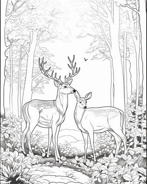 Draw Forest, Deer Stencil, Forest Enchanted, Deer Sketch, Deer Coloring Pages, Dragon Tattoo Ideas, Coloring Pages Nature, Deer Artwork, Deer Drawing