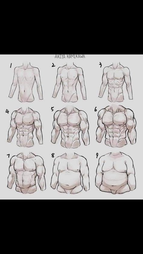 Man Body Reference Drawing, How To Draw Abs, How To Draw Muscles, Male Body Drawing, Body Draw, Male Art Reference, Male Body Art, Body Type Drawing, Man Sketch