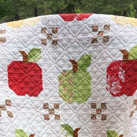 Lisa on Instagram: "Another Fig Tree finish! These are apples from the Fruit Salad book by #joannafigueroa using the Cherries Jubilee layout from the book. All fabrics are #figtreefabrics for @modafabrics including the yellow eyelet. I just had to have Golden Delicious apples on this quilt. Panto is Starlight by @willowleafstudio from @urban.elementz 💛🍏🍎💛🍏🍎💛🍏🍎💛 #showmethemoda #madewithmoda #sewhappy #fruitsalad #modafabrics #figtreequilts #figtreefabric #figtree #figtreeandco #quilt #quilts #quiltsofinstagram #quiltsofinsta #quiltingismytherapy #quiltingkeepsmesane #summersewing #summerquilt #urbanelementz" Apple Quilts, Apple Quilt, Fun Quilts, Golden Delicious Apple, Homemade Quilts, Cherries Jubilee, Summer Sewing, Summer Quilts, Fall Quilts