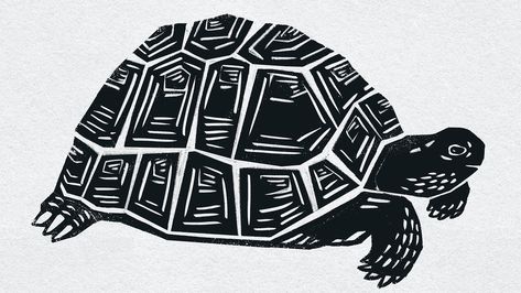 Tortoise Linocut, Turtle Shell Drawing, Turtle Linocut, Tortoise Art, Tortoise Drawing, Turtle Sketch, Tortoise Tattoo, Print Making Designs, Turtle Illustration