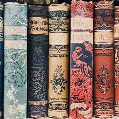 Book spines Magically Delicious, Illustration Art Nouveau, Book Spine, Vintage Book Covers, Fourth Wing, Beautiful Book Covers, Fb Covers, Book Worm, Book Shelf