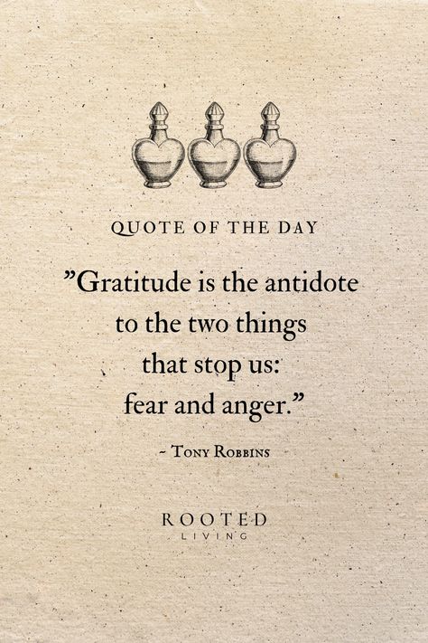 When we take a moment to appreciate what we have, it invites peace into our hearts, turning a storm into a gentle breeze. Gratitude teaches us that even in the toughest times there's a little spark of goodness. Make gratitude a daily ritual and watch it weave its magic. Quotes For Gratitude, Gratitude Magic, Gratitude Aesthetic, Gratitude Ritual, Gratitude Quotes Inspiration, Gratitude Poems, Quotes About Gratitude, Yoga Class Themes, Digital Grimoire