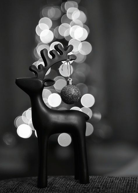 High Key Lighting Photography, Photo Bokeh, Bokeh Wallpaper, Christmas Tree Photography, Black White Christmas, Xmas Photos, Bokeh Photography, Reindeer Decorations, 365 Project