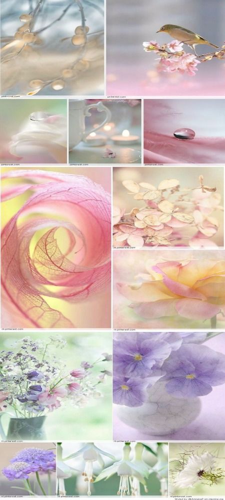 Pastel Mood Board, Colors Moodboard, Bokeh Images, Bokeh Photography, Mood Colors, Color Collage, Beautiful Collage, Pastel Colour Palette, Bright Pastels