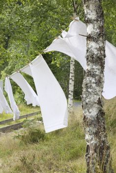 . Washing Lines, Clothes Lines, Laundry Art, Fresh Laundry, Clothes Hanging, Laura Ingalls, Washing Line, Down On The Farm, Windy Day