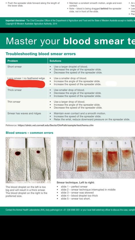 Phlebotomy Study, Medical Lab Technician, Vet Tech School, Medical Laboratory Technician, Vet Life, Med Lab, Lab Science, Laboratory Technician, Medical Lab