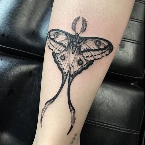 Moth Tattoo Arm, Moth Tattoo Meaning, Luna Moth Tattoo, Moth Tattoos, Tatuaje Cover Up, Moth Tattoo Design, Small Images, Insect Tattoo, Moth Tattoo