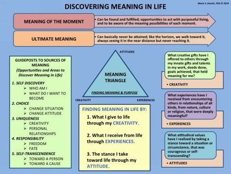 Meaning-Centered Therapy Workbook: Based on Viktor Frankl's Logotherapy & Existential Analysis: Marie S. Dezelic, Ann-Marie Neale, Brigitt Rok: 9780984640812: Amazon.com: Books Counter Transference, Therapy Workbooks, Existential Therapy, Meaning In Life, Counseling Psychology, Mental Health Counseling, Counseling Activities, Therapy Counseling, Counseling Resources