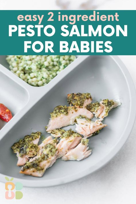 Baby Friendly Pesto Salmon - Baby Led Bliss Salmon Recipe For Baby, Salmon Baby Led Weaning, Salmon For Baby, Baby Led Weaning Lunch Ideas, Baby Applesauce, Blw Recipes, Mediterranean Recipes Healthy, Pesto Salmon, Toddler Recipes