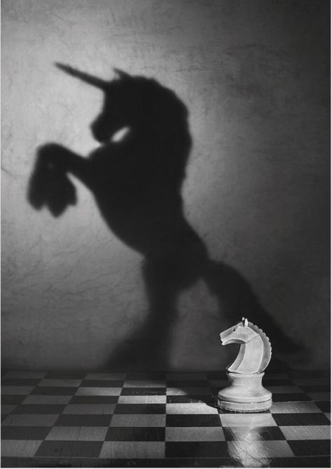 Last Unicorn, The Last Unicorn, Shadow Photography, Art And Illustration, White Photo, Black Aesthetic, Light And Shadow, Chess Board, Black And White Photography