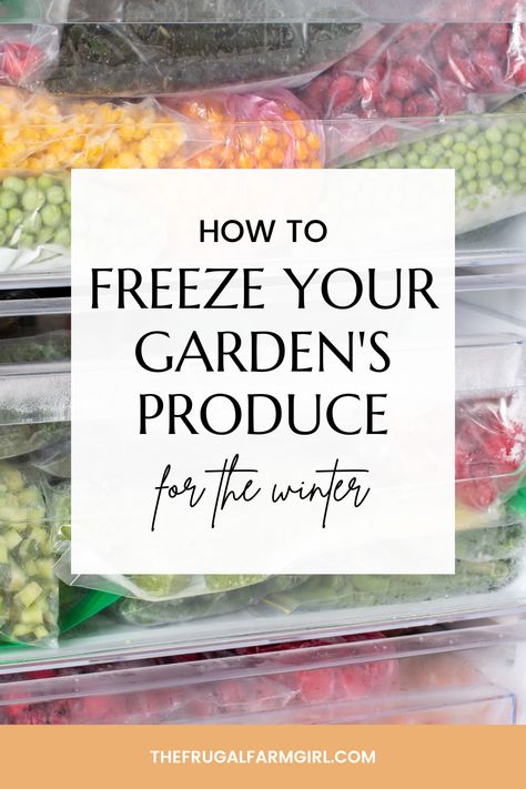 Worried about how you'll get your fruits and veggies in the winter? Don't be! These tips will show you how to freeze your garden's produce so you can enjoy them all year long. From berries to greens, we've got you covered. Vegetables You Can Freeze, Freezing Vegetables From Garden, Freezing Garden Vegetables, Freezing Produce, Beans Benefits, Freezing Vegetables, Frugal Gardening, Farming Life, Frozen Grapes