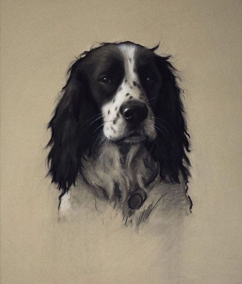 Florence Academy Of Art, D Design, Charcoal Portraits, Pastel Paper, Sky Art, Charcoal Drawing, Dog Drawing, Portrait Artist, Dog Portraits