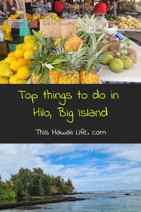 Top things to do in Hilo Big Island Hilo Farmers Market, Coconut Island, Oahu Travel, Rainbow Falls, Usa Travel Guide, Vacation Usa, Hawaii Life, Historic Downtown, Alaska Travel