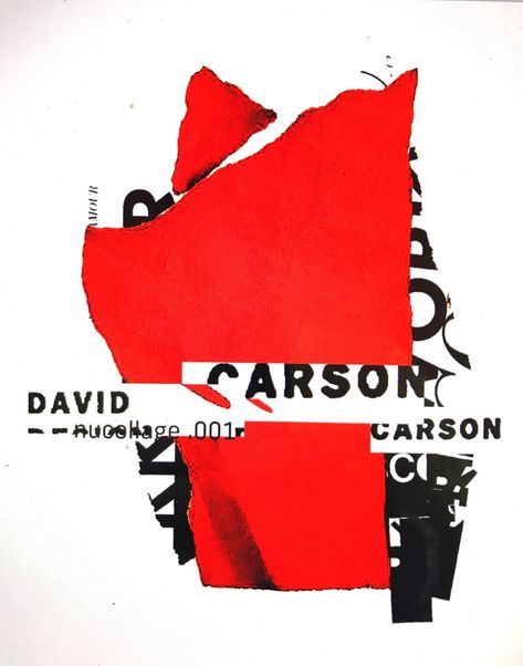 David Carson Work, David Carson Typography, David Carson Design, Poster Sport, David Carson, Milton Glaser, Surfer Magazine, Japanese Graphic Design, Poster Designs