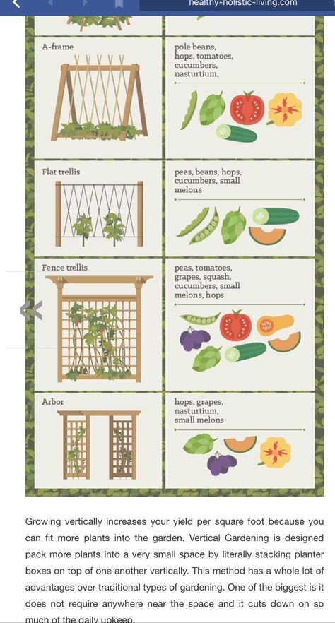 Veggie And Fruit Garden Layout, All About Gardening, Vegetable Garden Vertical, Vertical Garden Layout, Small Backyard Vegetable Garden Design Layout, Small Vegetable Garden Design Layout, Small Homestead Garden Layout, Vegetable Garden Plans Layout Design, Fruit And Vegetable Garden Layout