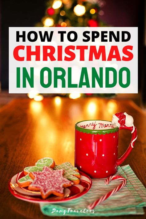 Wdw Christmas, Things To Do At Christmas, Florida In December, Florida Vacation Outfits, Christmas Florida, Things To Do Orlando, Orlando Christmas, Things To Do In Orlando, Christmas Things To Do