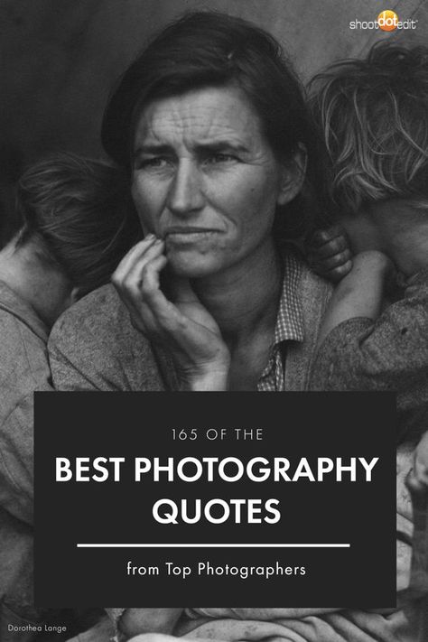 165 of the most inspirational photography quotes, including sharable Instagram and Pinterest quote graphics. Get inspired with these words of wisdom and humerous sayings from popular photographers. #shootdotedit #quotes #photography #weddingphotographer #inspiration Photography Showcase, Photoshoot Quotes, Photography Captions, Photographer Quotes, Timeless Quotes, Famous Photography, Portrait Quotes, Stunning Portraits, Provoking Quotes